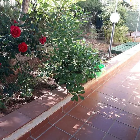 Giuseppina